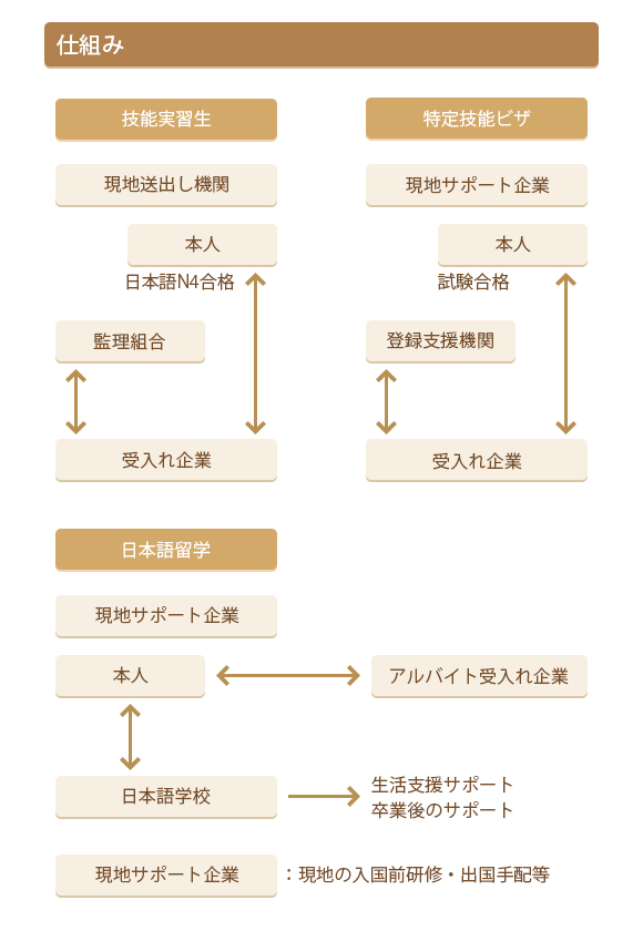 中国人財交流事業 仕組み